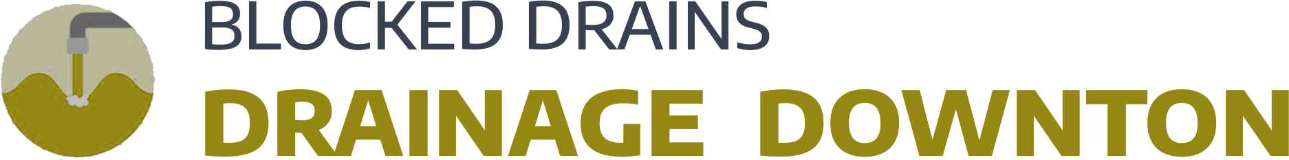 website logo